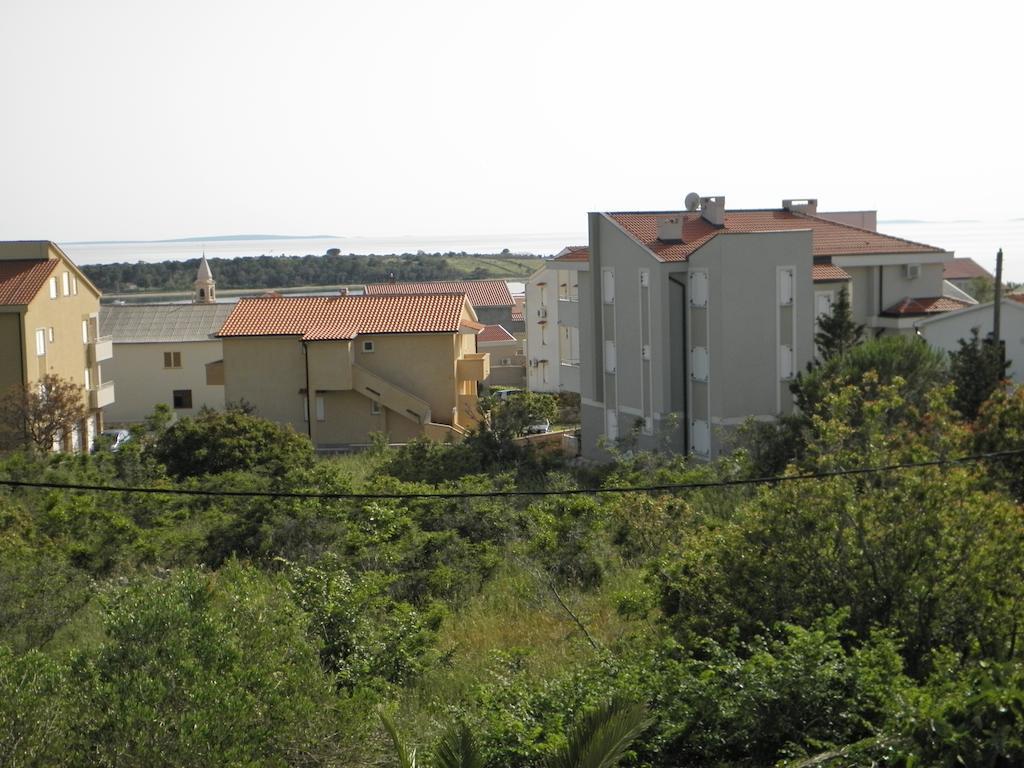 Babic Novalja