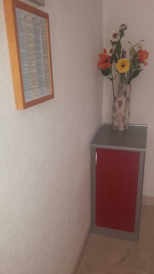 Apartment Babic